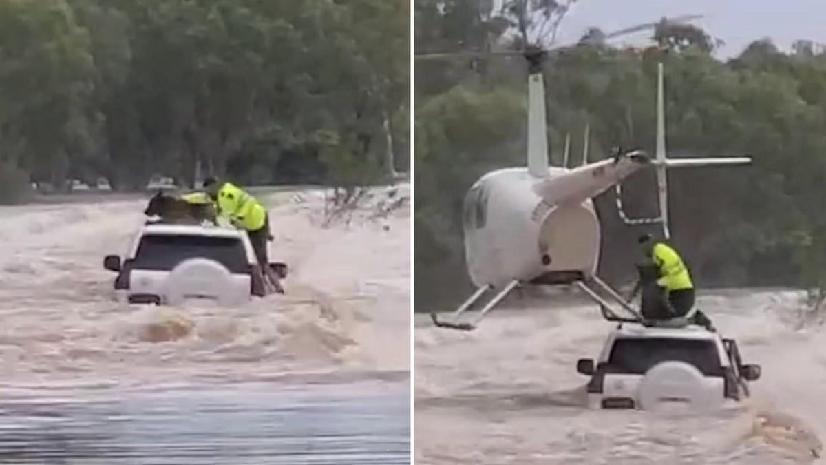 Dog rescued by helicopter from raging flood waters in Northern Territory – video
