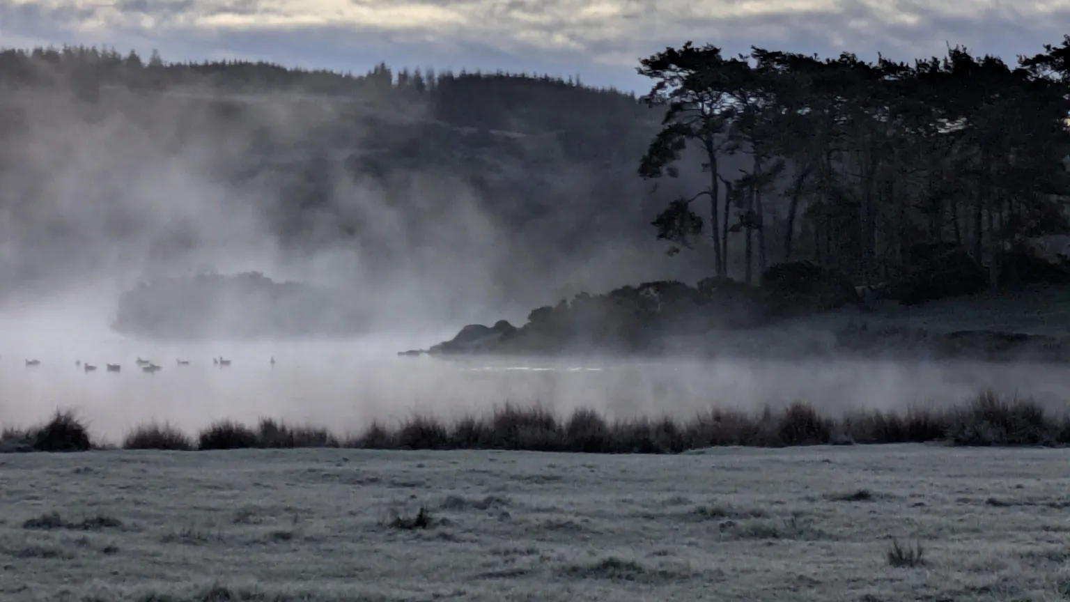 Shona Kirby A misty lakeside scene at dawn, with low fog drifting over the water and silhouetted trees rising along the shore.