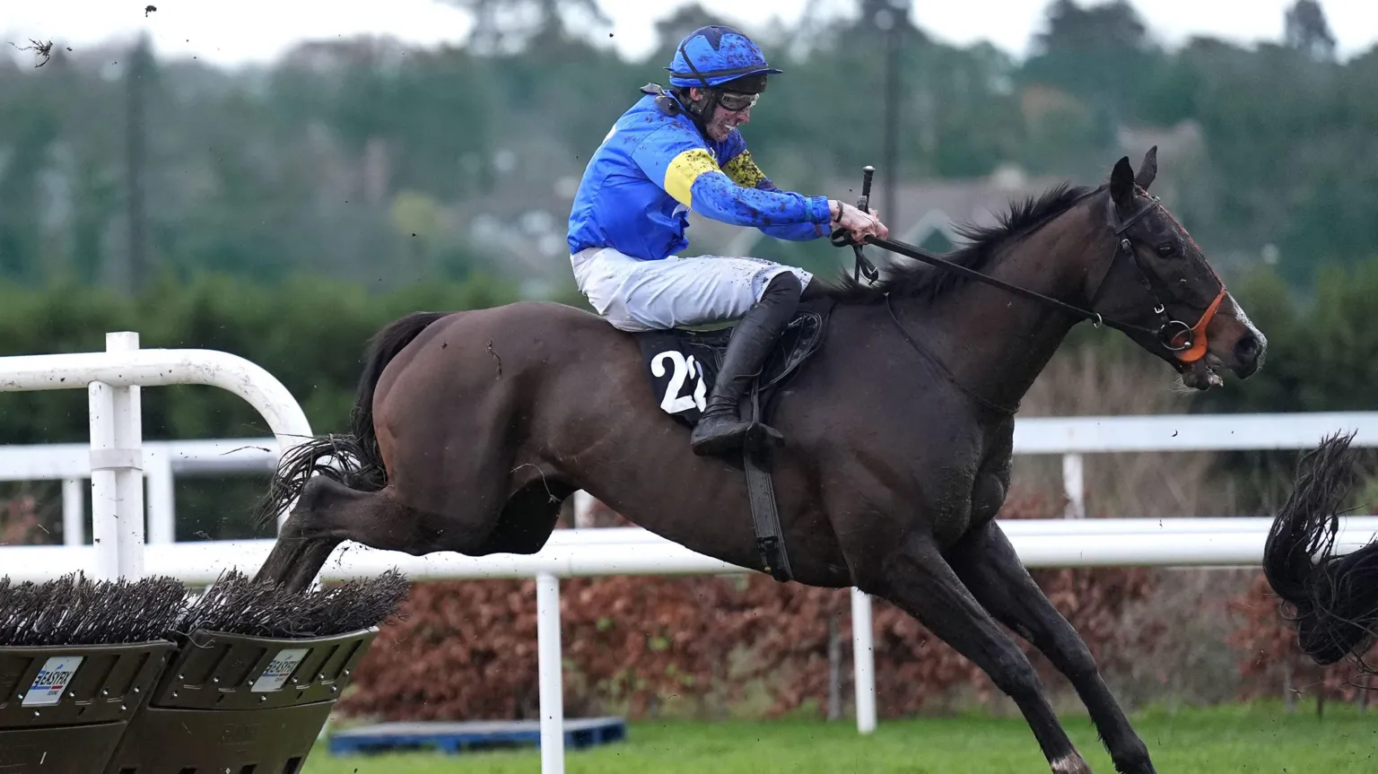  A jockey in blue rides a dark brown horse. They are landing an obstacle and are seen side-on. 