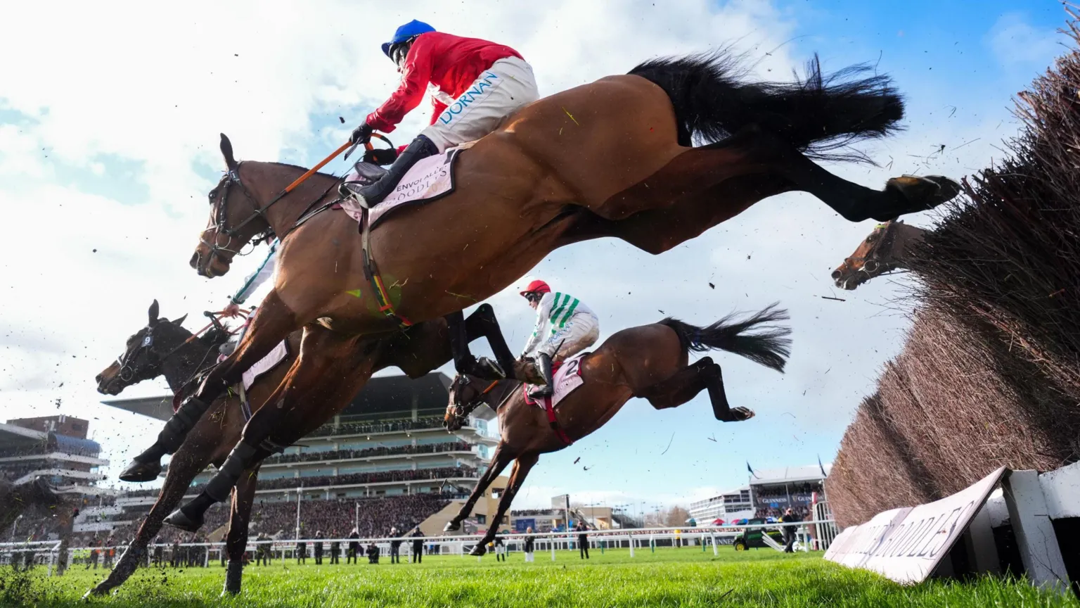  Three horses land after jumping fences. They are seen from below and are being ridden by jockeys during the Gold Cup race at Cheltenham. Large stands are in the distance. 