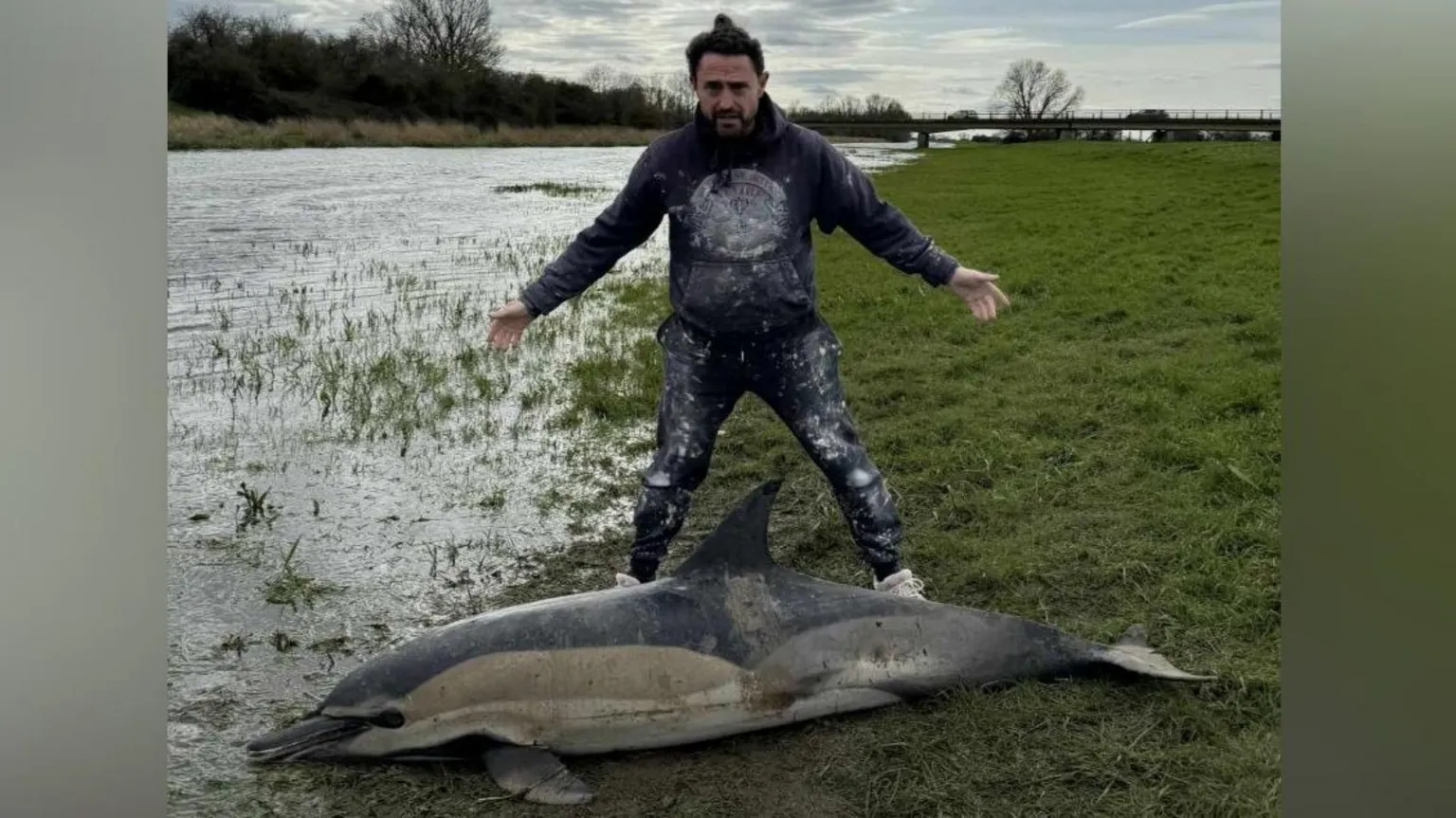 Archie Wayman Glen Wayman is standing behind a dolphin which is on the floor next to a riverbank. Wayman is wearing black trousers and a jumper.