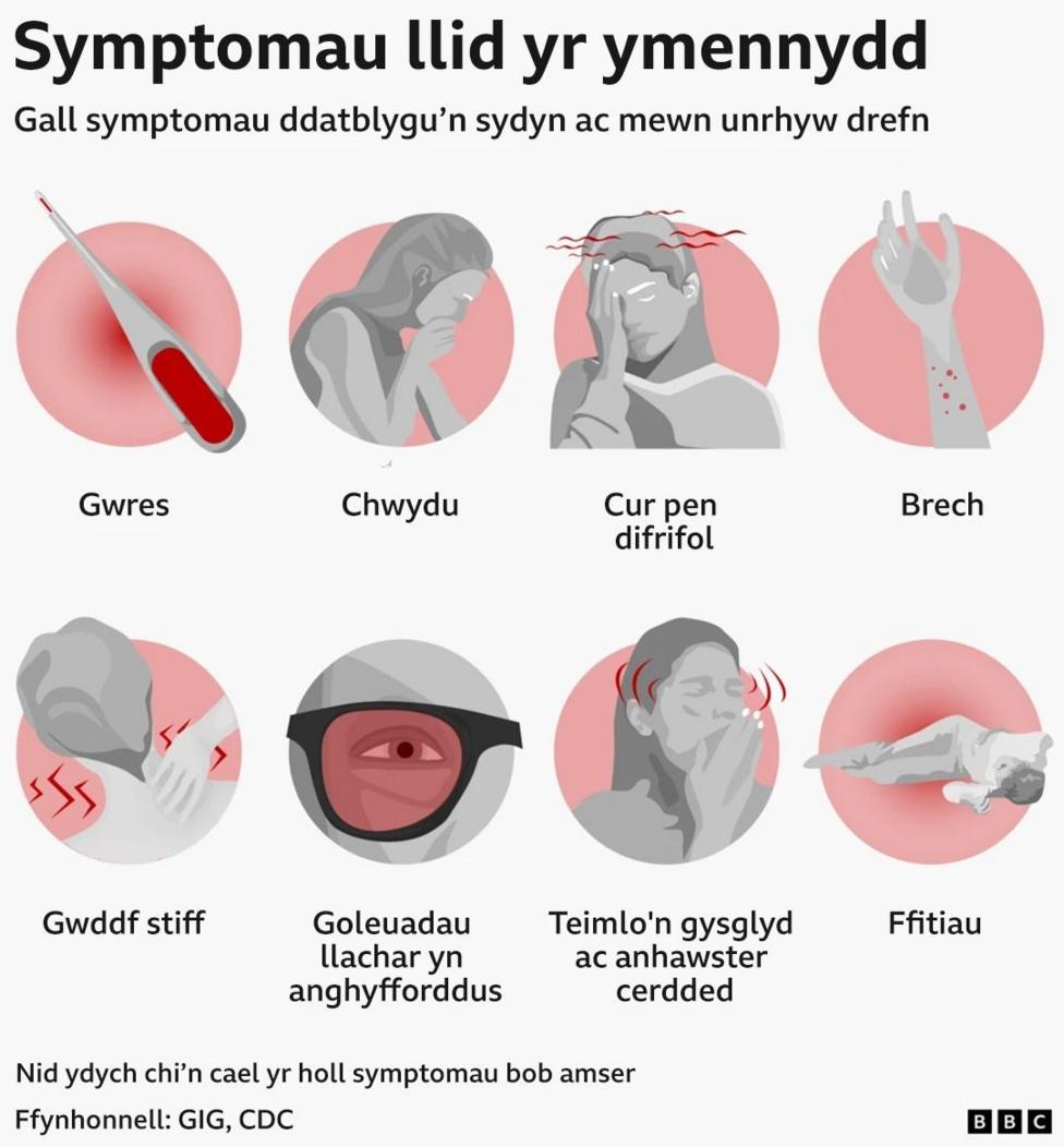 Graffeg rhai o symptomau llid yr ymennydd