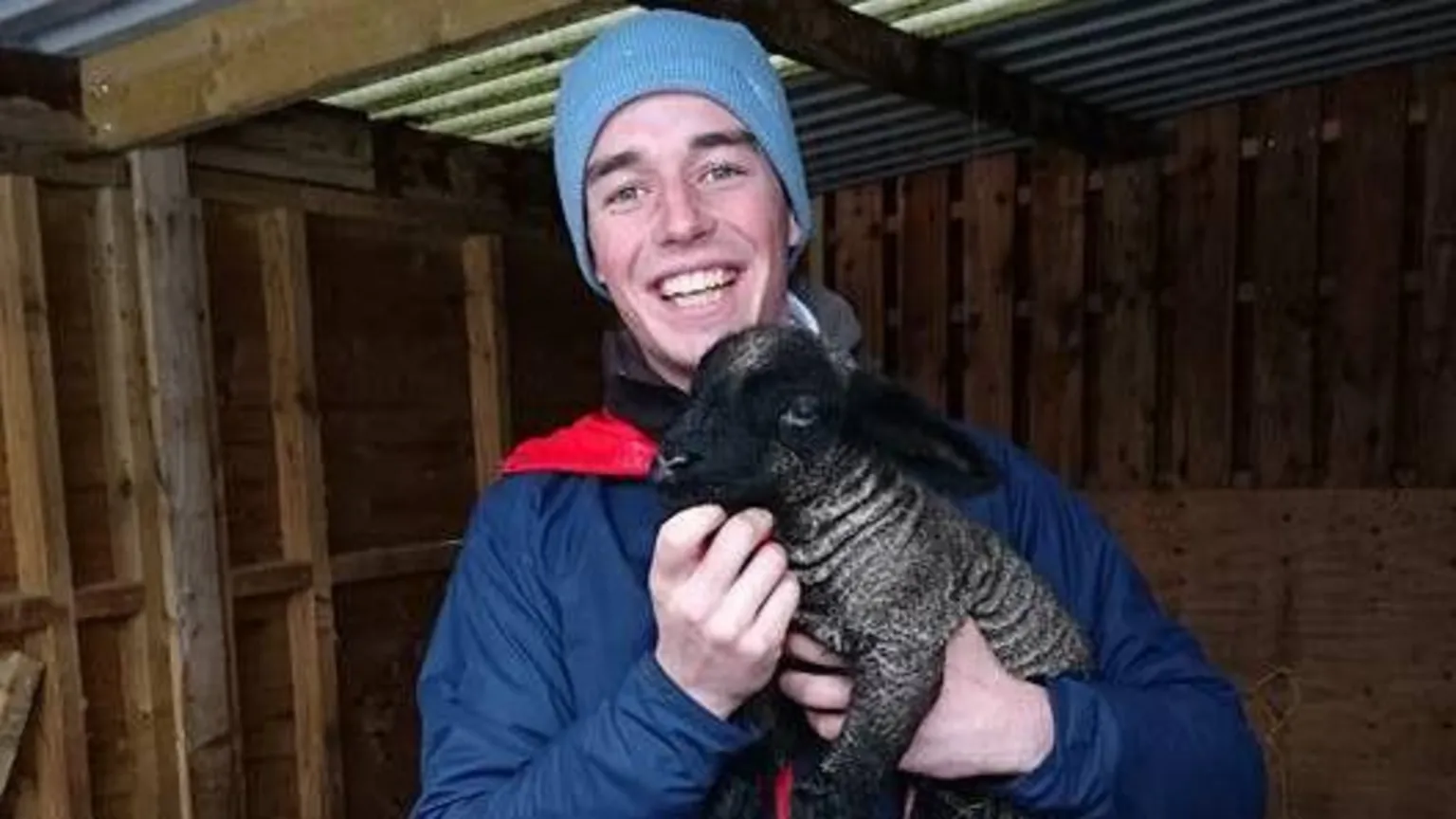 John Gibson A young man with a light blue hat and blue jacket holds a lamb