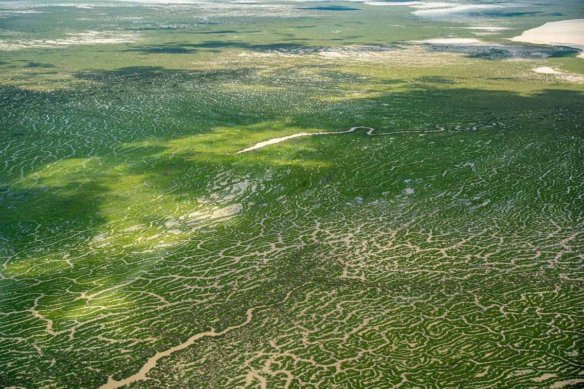 Diamantina flood plains in March 2026