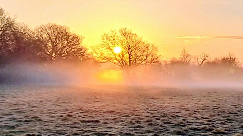 A bright yellow rising sun colours the sky with the same hues. In the foreground are trees, a layer of mist and frost-covered grass