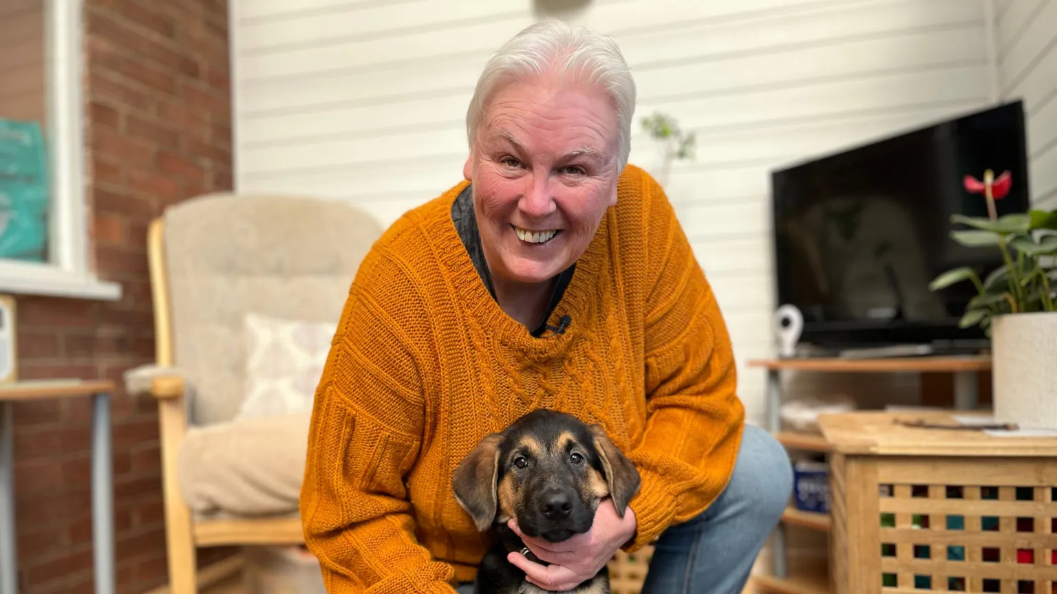 Yvonne Smith is in her conservatory with her trainee guide dog puppy. She has short white hair and is wearing an orange jumper and jeans. She is crouched down next to the puppy and is smiling at camera. 