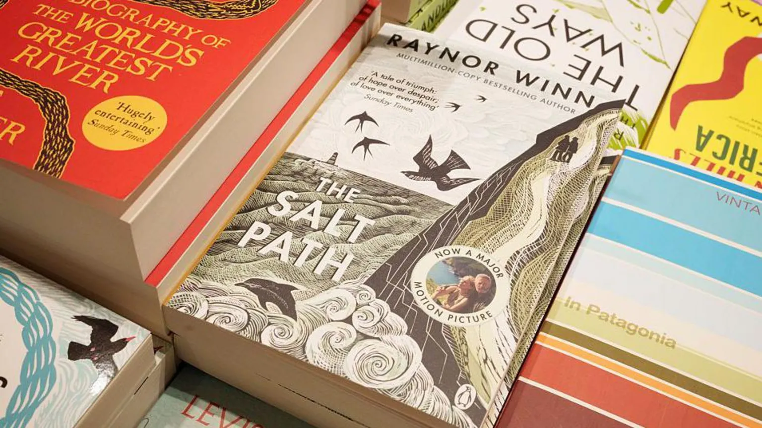  A book cover, entitled the Salt Path, with artwork depicting a coastal scene. It is placed on a table stacked with other books around it.