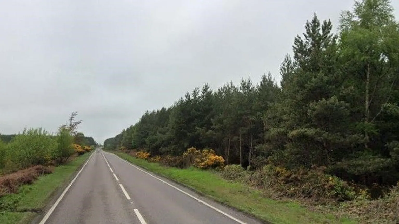 Google A stretch of the A96 trunk road at Alves Wood in Moray.
