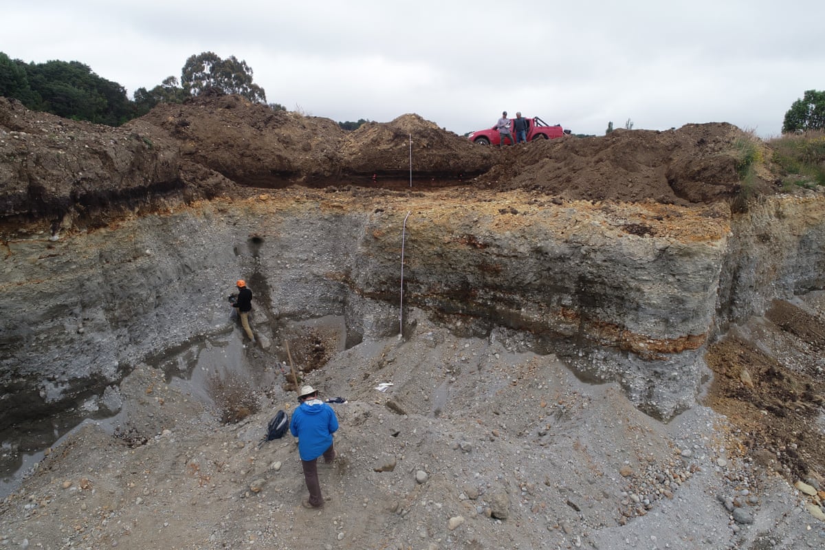 Archaeologists working on the site