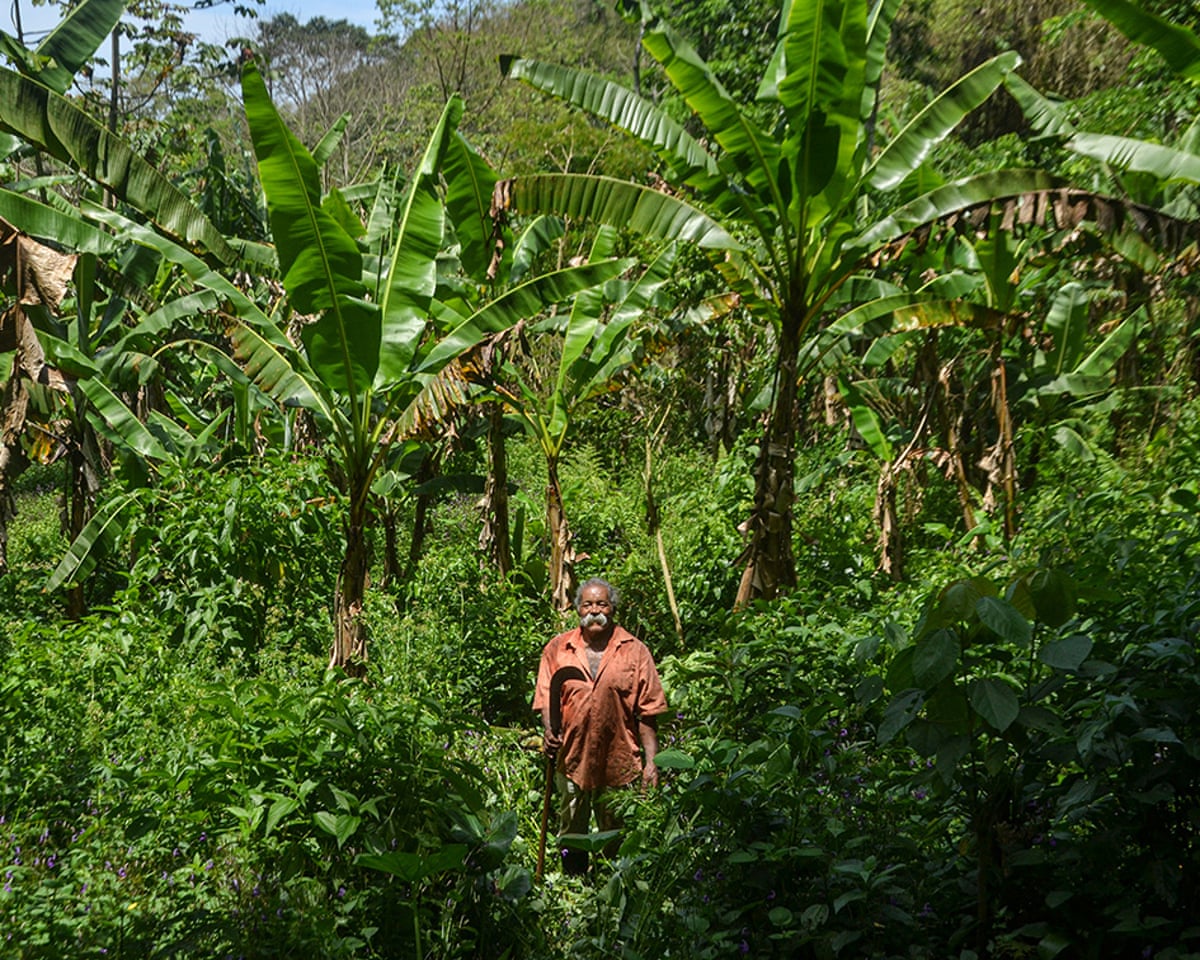 Agriculture in the Pedra Branca Massif