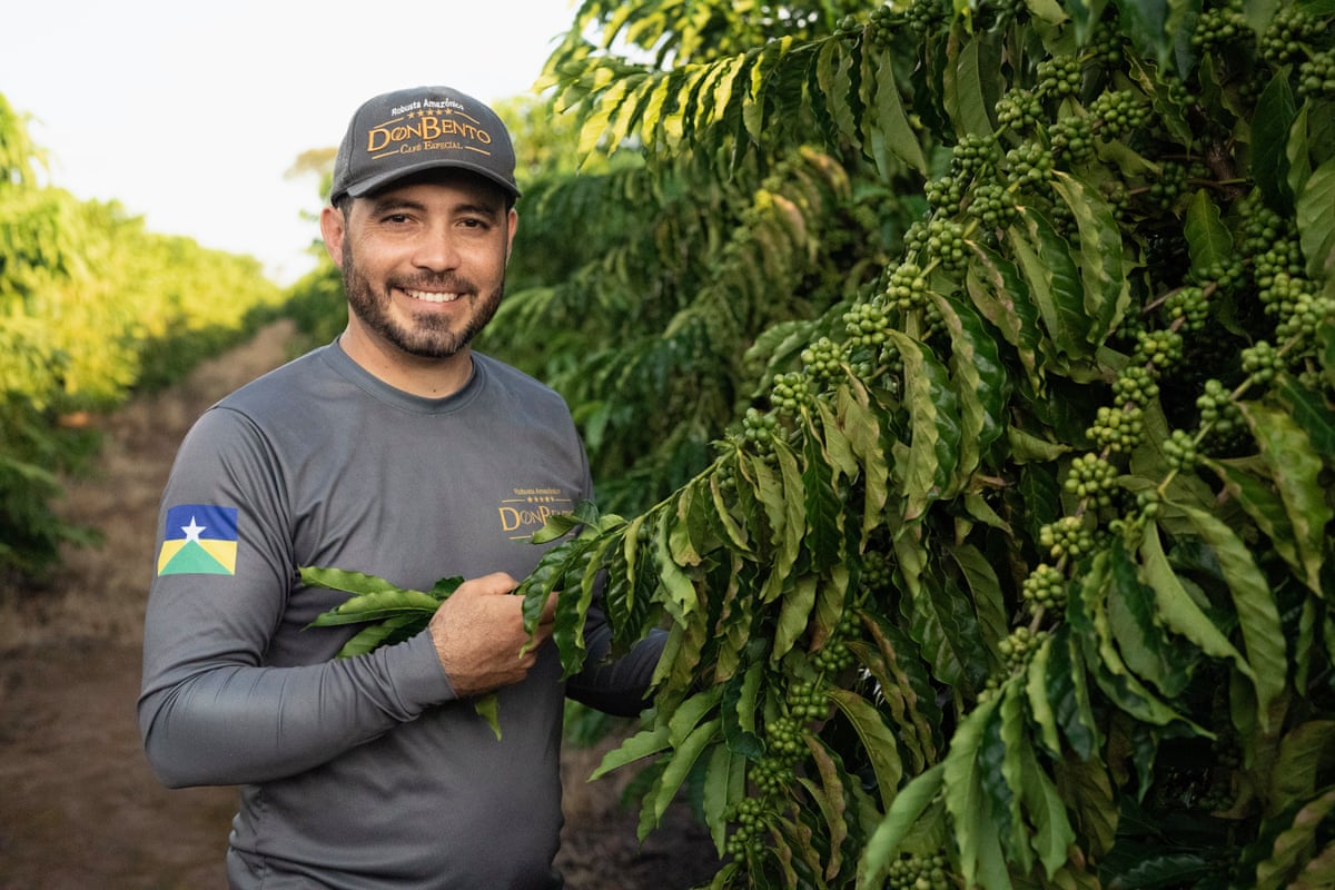 A smiling man in a cap stands next to a coffee plant which is covered in green berries.