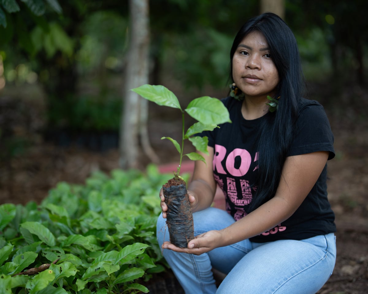 A woman wearing jeans and a T-shirt holds a young coffee plant in a plantation in a forest