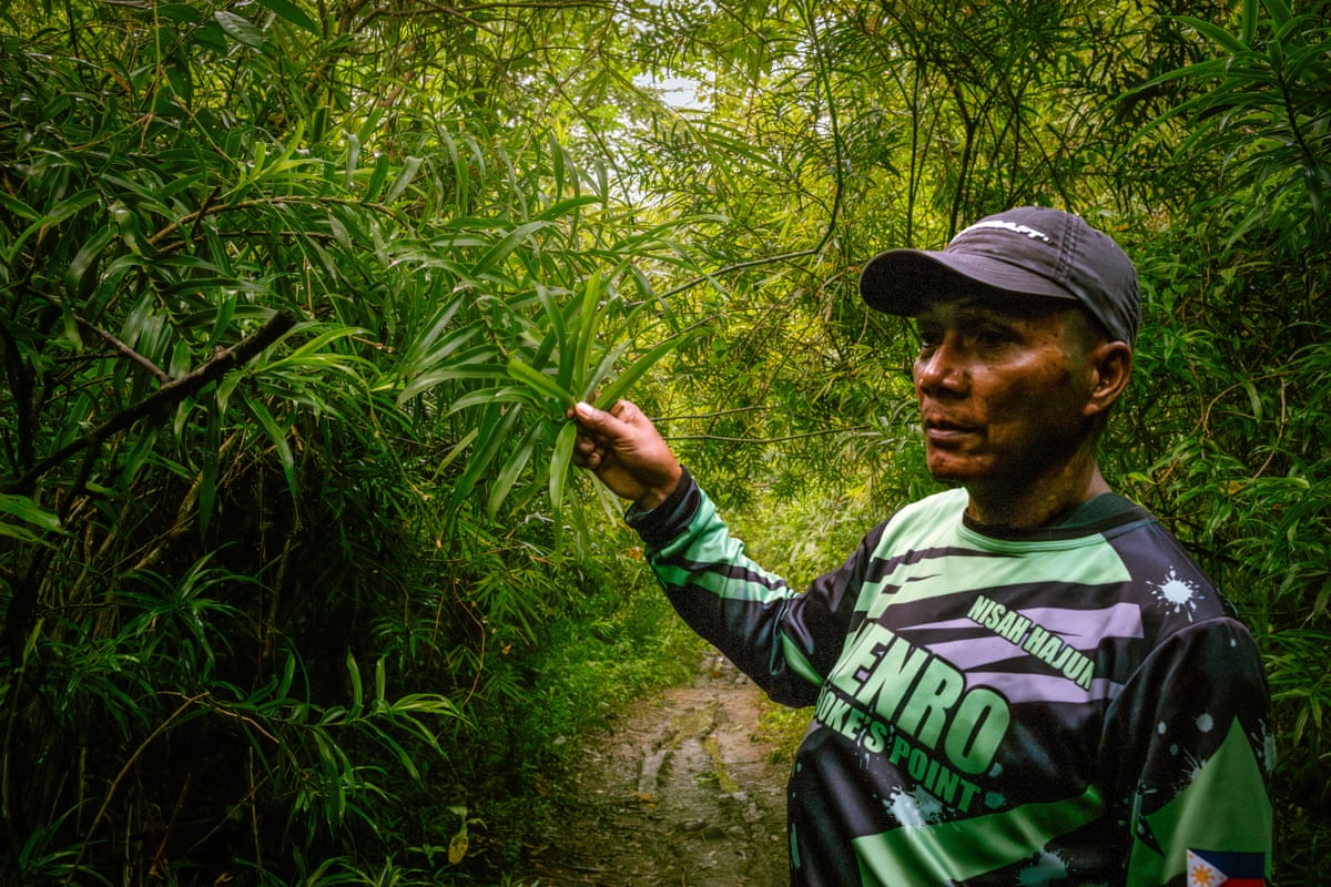 A man in a baseball cap holds a leaf on a tree in a very leafy setting