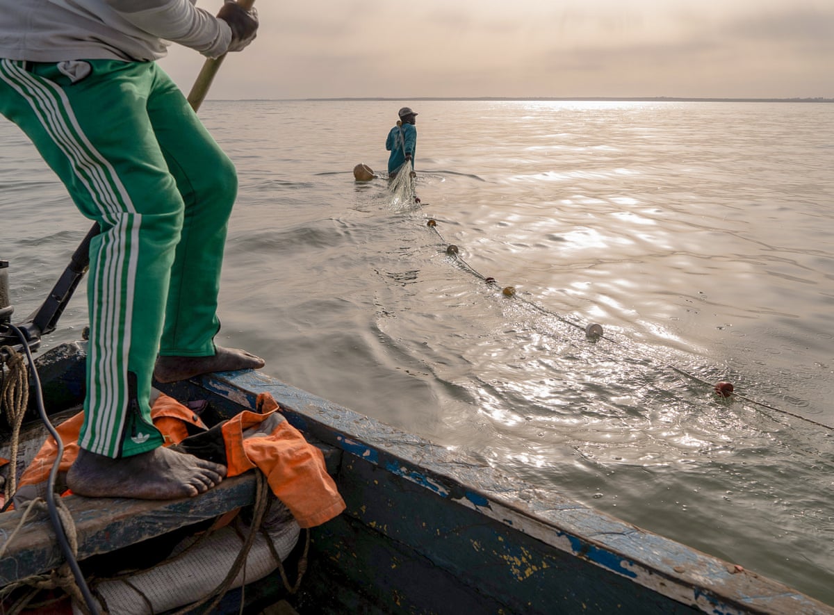 Someone stands on a boat while another person walks waist deep in water holding a fishing net