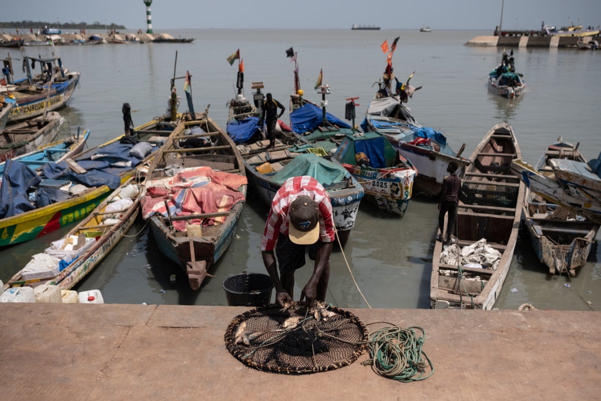 A man takes a small fish from a small net on a quayside. Several wooden boats are moored in the water behind him
