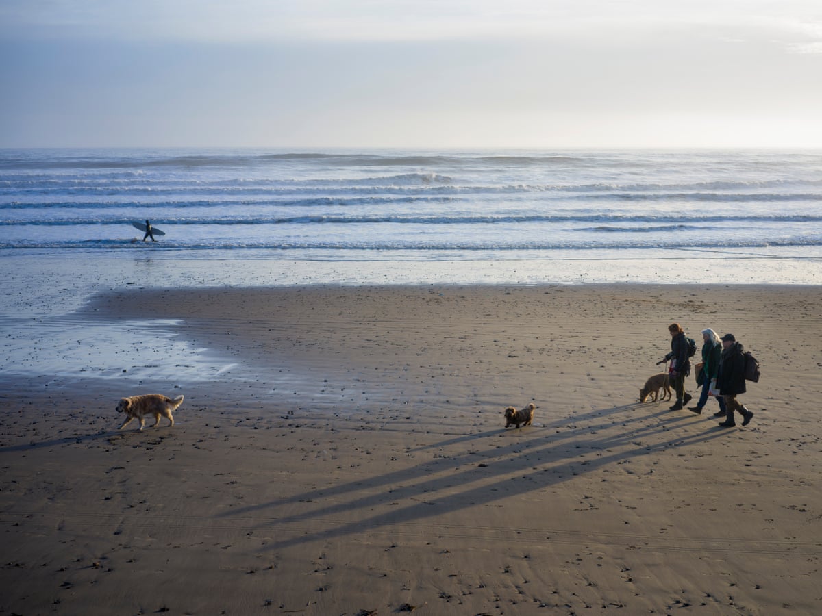 Three dog-walkers on a large empty beach with a surfer in the distance carrying their board at the water’s edge