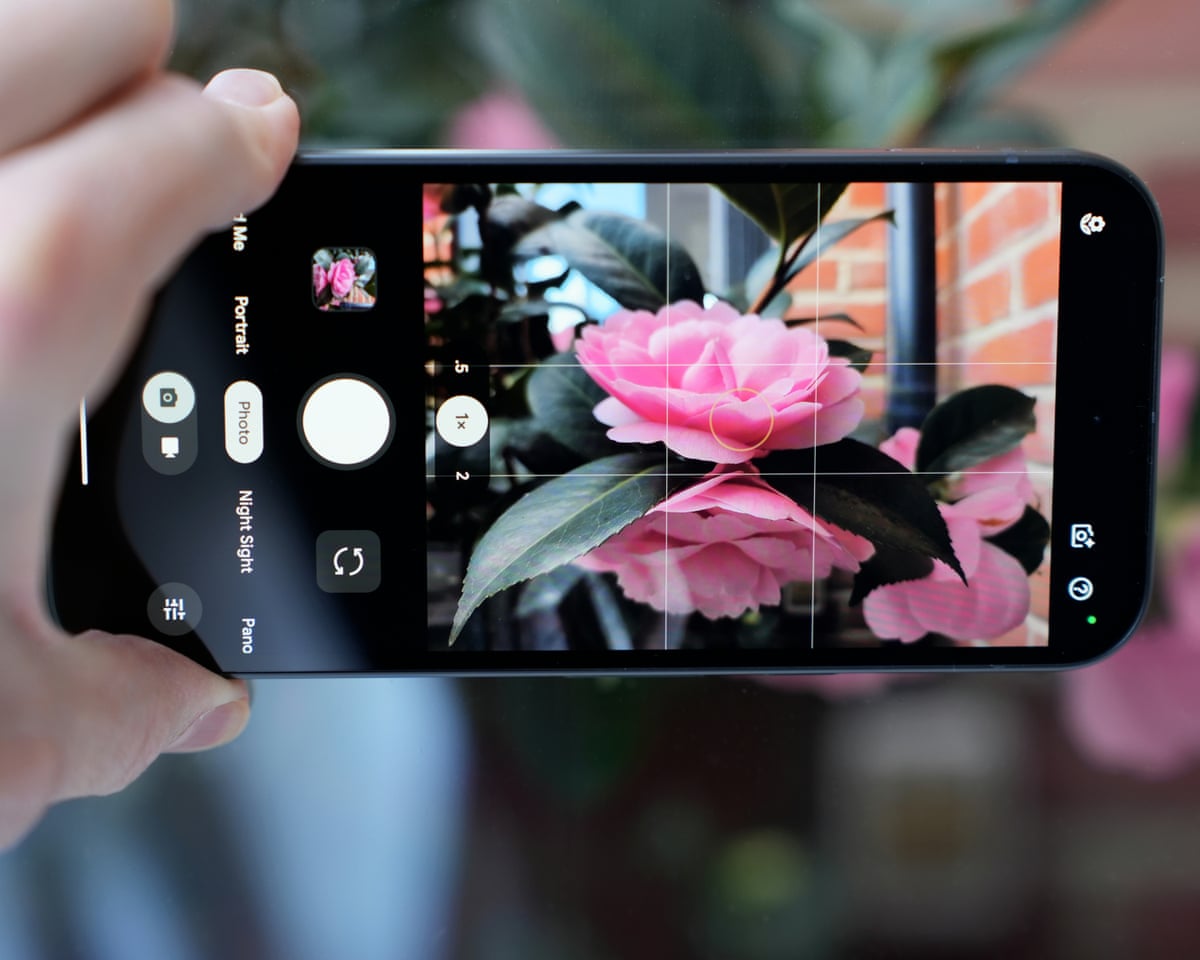The camera app on the Google Pixel 10a being used to shoot a photo of a flower.