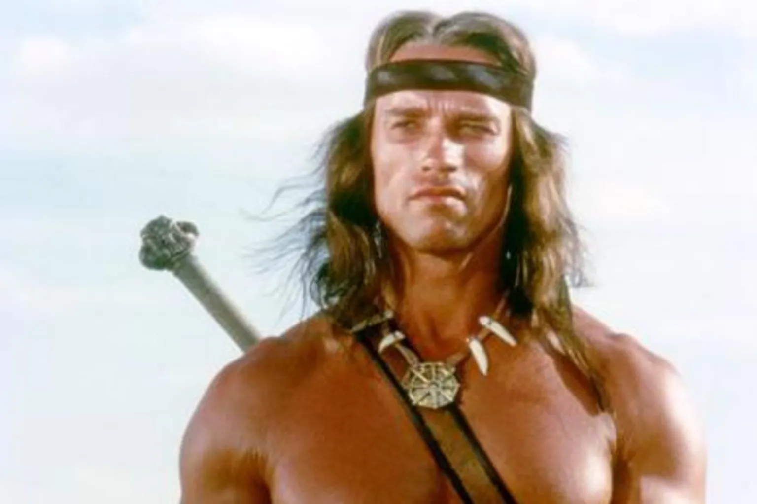Arnold Schwarzenegger in Conan the Barbarian