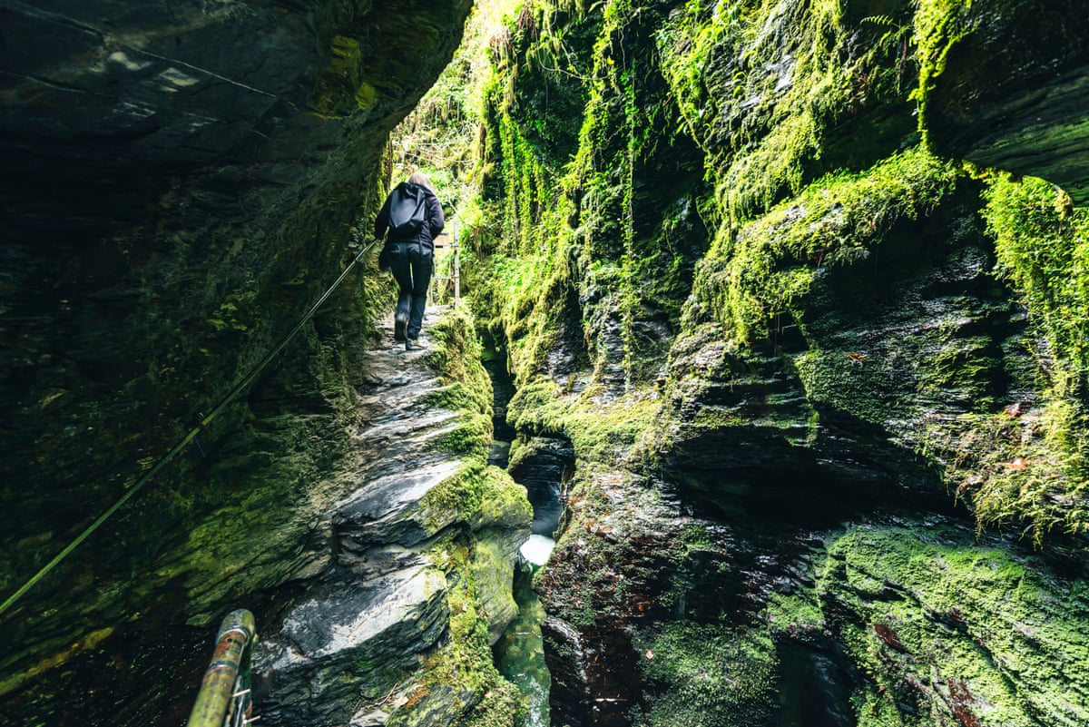 A woman ascends steps through a narrow green gorge