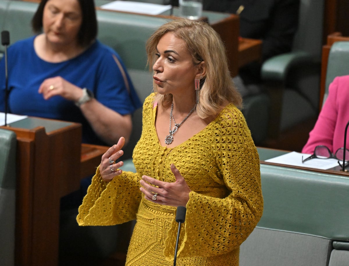 Anne Aly in the House of Representatives wears a bell-sleeved crochet mustard-coloured dress 