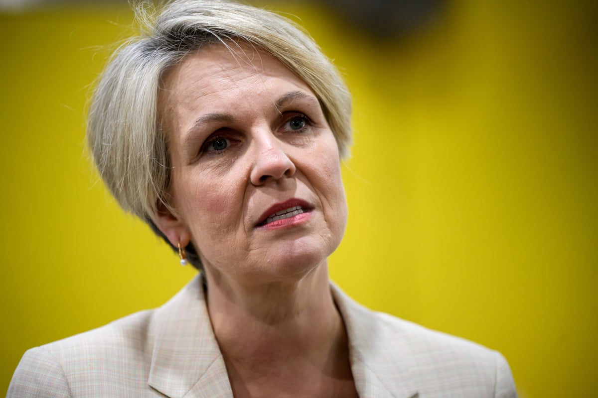 Social services minister Tanya Plibersek.