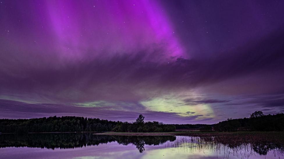 A lake is surrounded by dark trees as purple rays of aurora light shine down above.