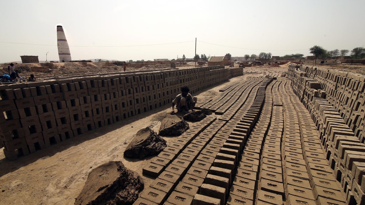 Workers lay bricks to dry under the sun at a brick kiln