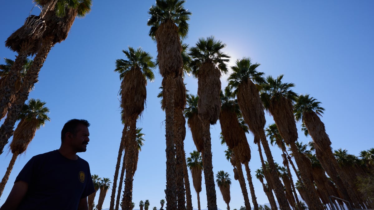 Thermal, California, which saw record-breaking winter heat last week.