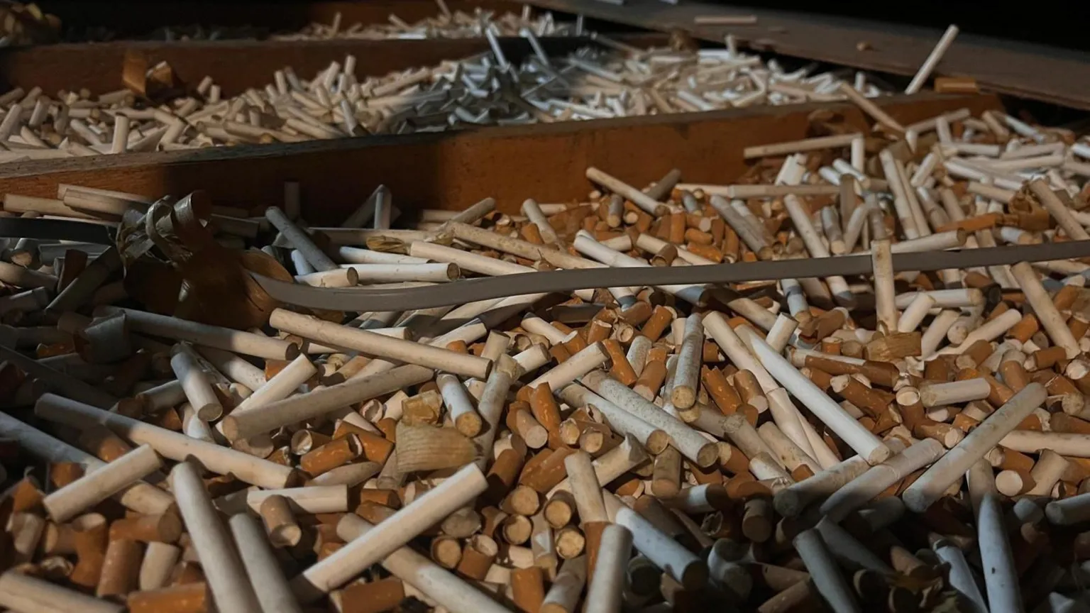 James Christie Brown cigarette butts and white filter tips in the rafters of an attic. 