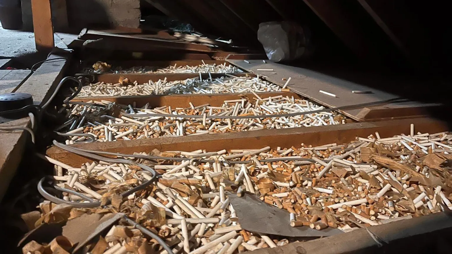 James Christie A zoomed out pictures of four of the rafters being filled with the brown cigarette butts and white filter tips in the attic of a house.