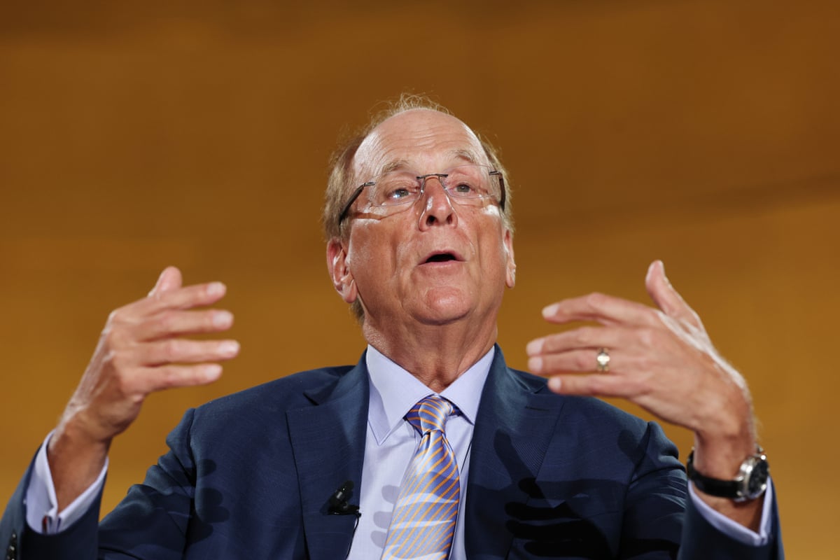 CEO of BlackRock Larry Fink speaks during a panel at the BlackRock Infrastructure Summit on 11 March in Washington, DC.