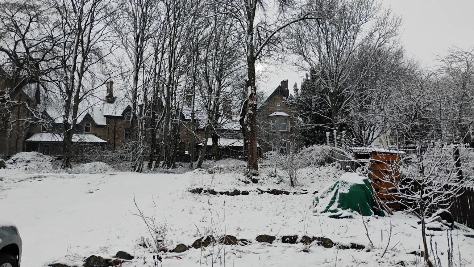 Shone/BBC Weather Watchers Snow covers a garden and branches on trees. Snow also lies on the roofs of houses.