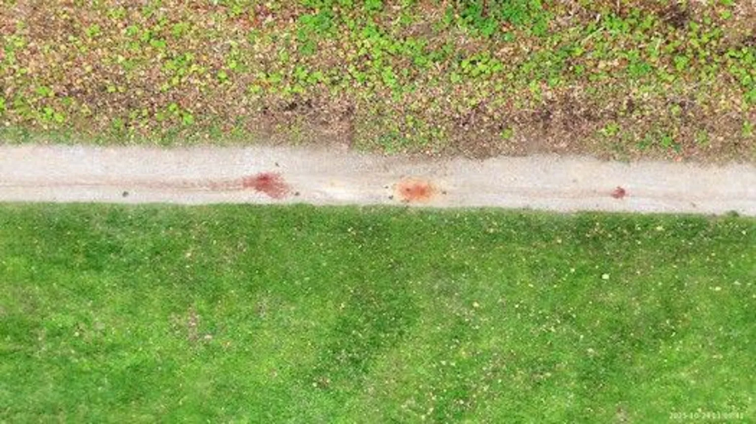 North Wales Police An aerial view of a gravel path at Morfa Nature Reserve in Prestatyn. The path is bordered on one side by green lawn, on the other by denser undergrowth. There are several prominent blood stains on the path. The blood stains led police to discover the badly injured body of Angela Shellis.