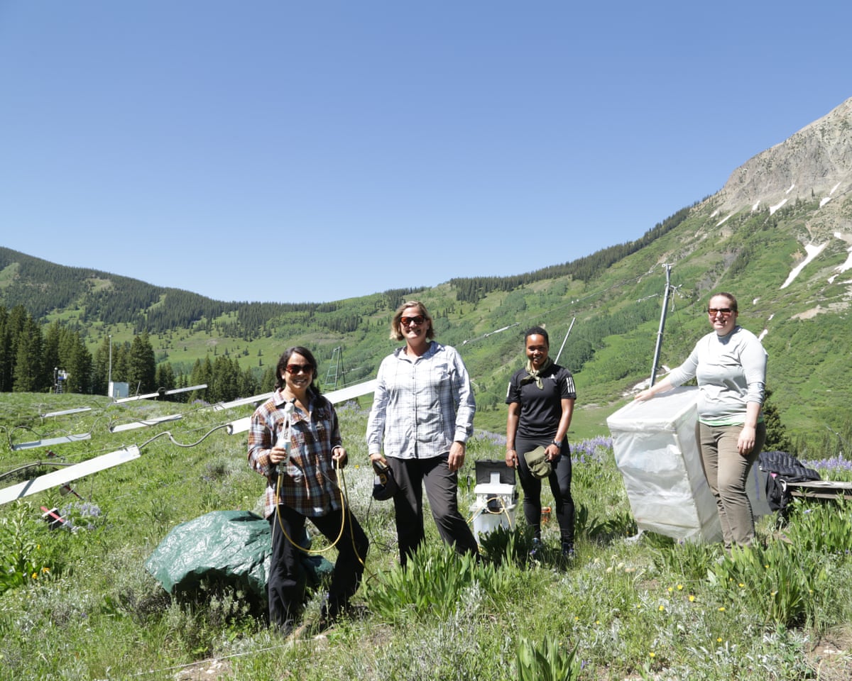 Four scientists standing on a grassy mountainside in the Colorado Rockies with their instruments to measure carbon exchange between plants, soils and the atmosphere.