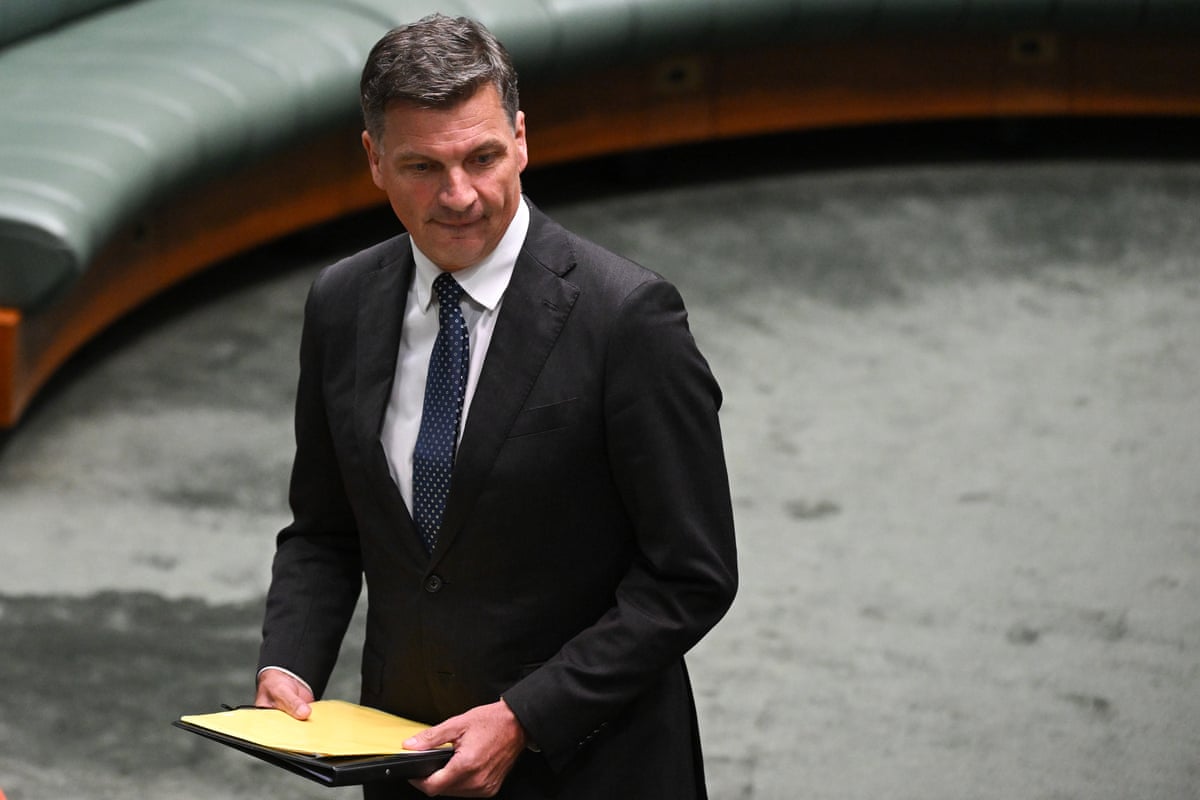 Opposition leader Angus Taylor.