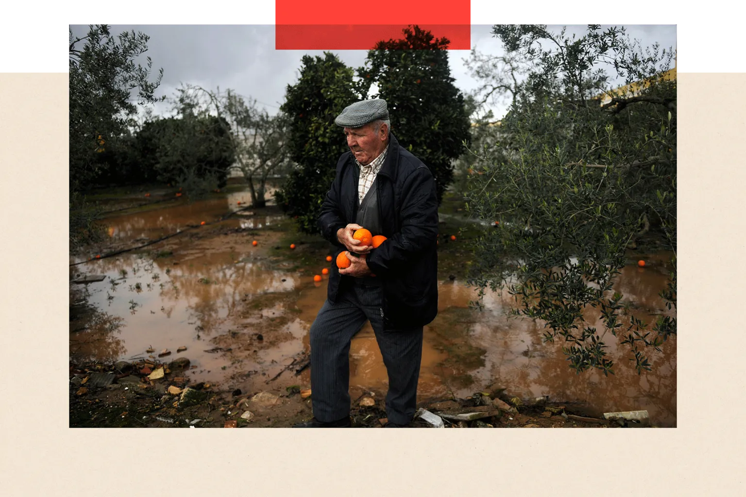 AFP via A man recovers oranges from a tree, with the ground flooded below