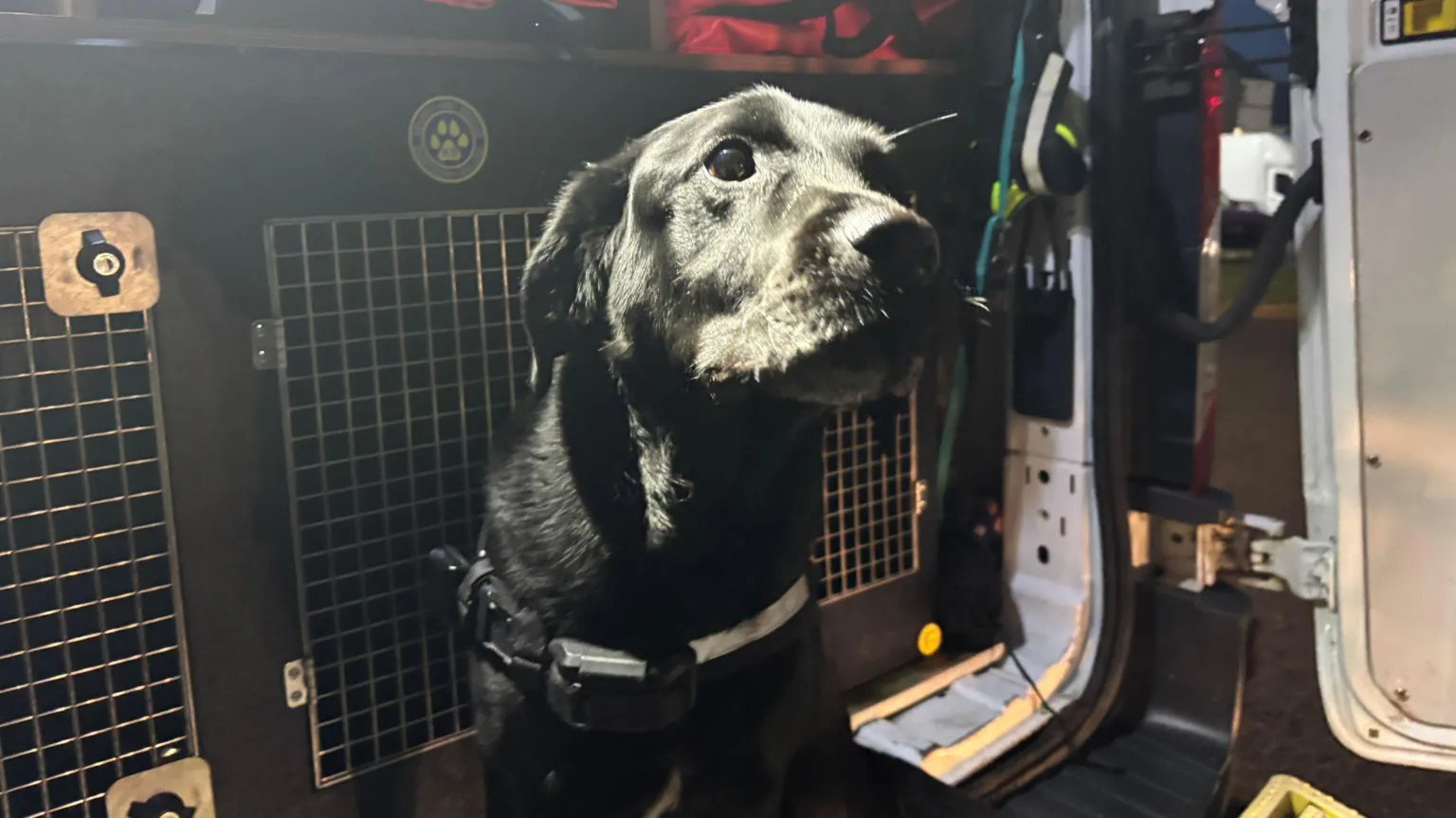 Max is a black labrador-type dog. He is sitting in the back of a search and rescue van in front of his kennel.