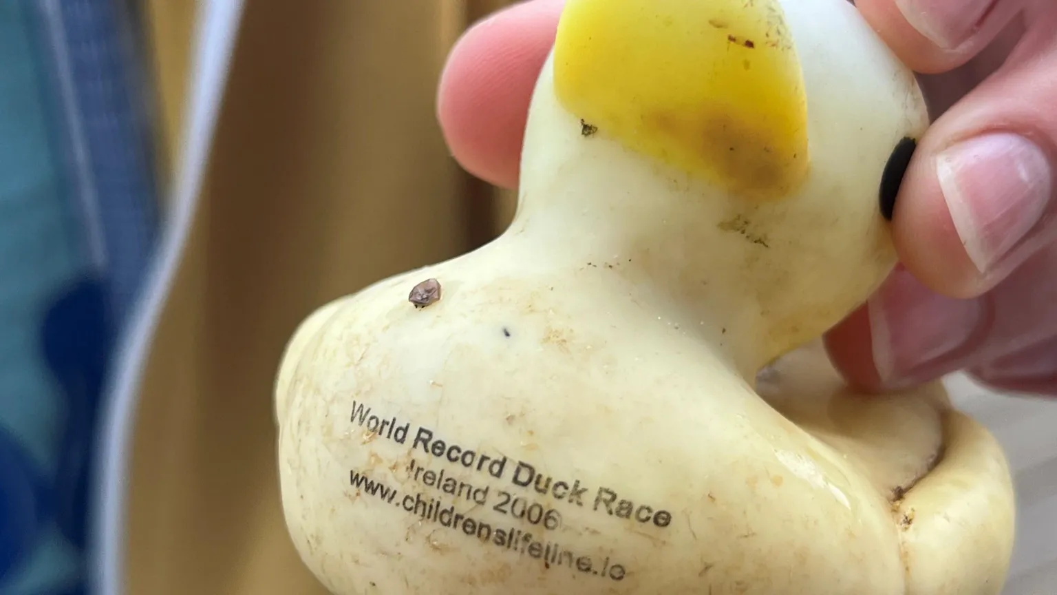 Daniel Wrede A plastic duck - the yellow colour has faded away, but lettering reading World Record Duck Race Ireland 2026 is still visible.