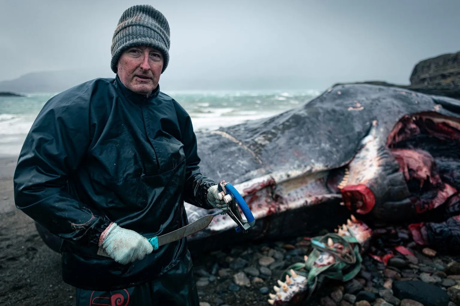 James Appleton The image shows a man wearing a woolly hat, waterproof overalls and plastic gloves. He is holding a saw while standing on a sea shore. Behind him is a large, dead sperm whale.