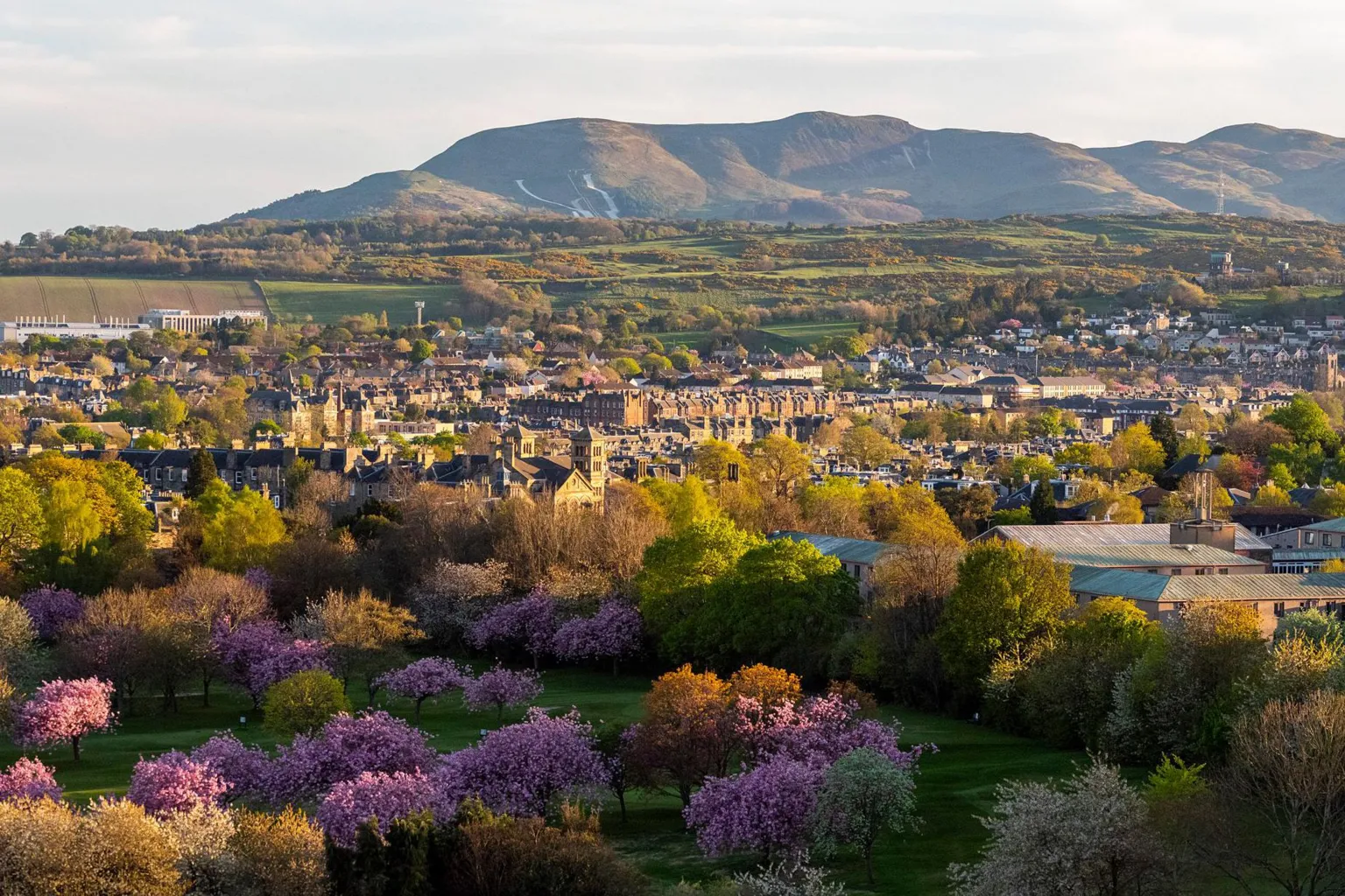 Jamie McDermaid A scene in Edinburgh with trees, flowers and hills in the background.