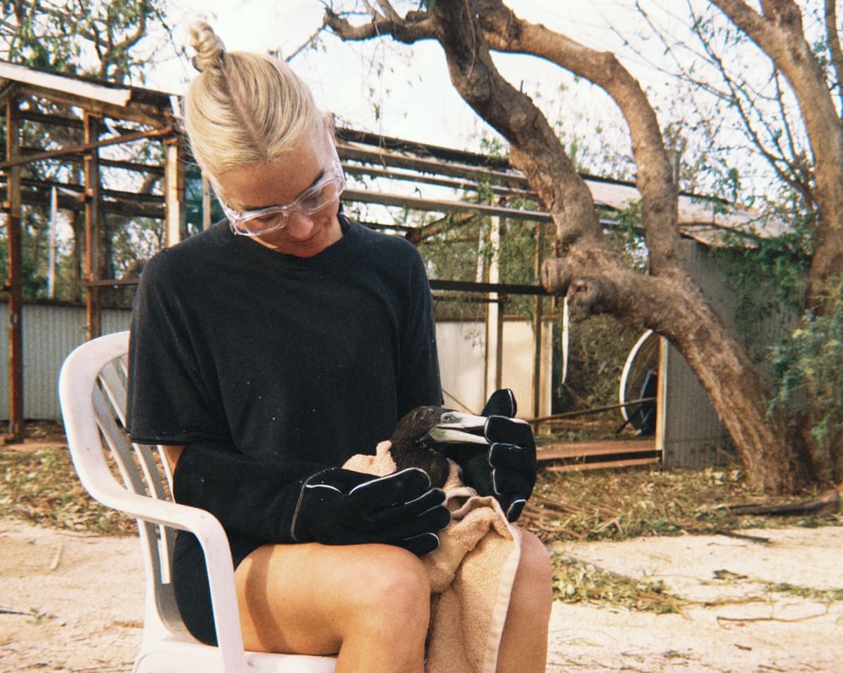 Exmouth wildlife carer Brinkley Davies is caring for multiple injured animals after Cyclone Narelle