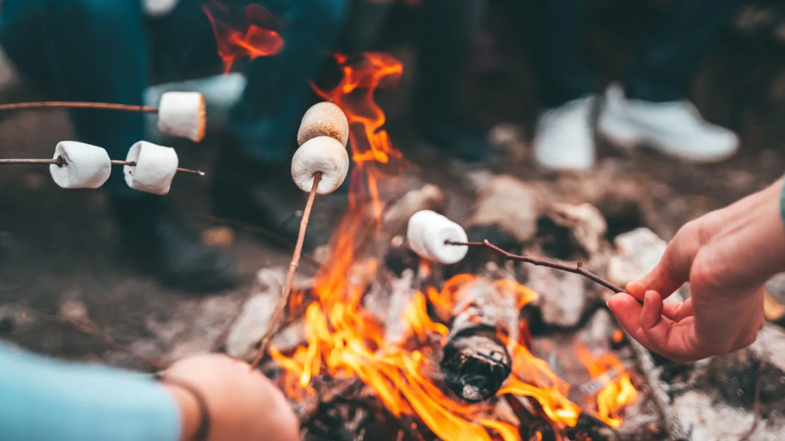  A close up picture of people melting marshmallows on twigs on camp fire. There are logs burning on the fire and bright orange flames dancing around them. 