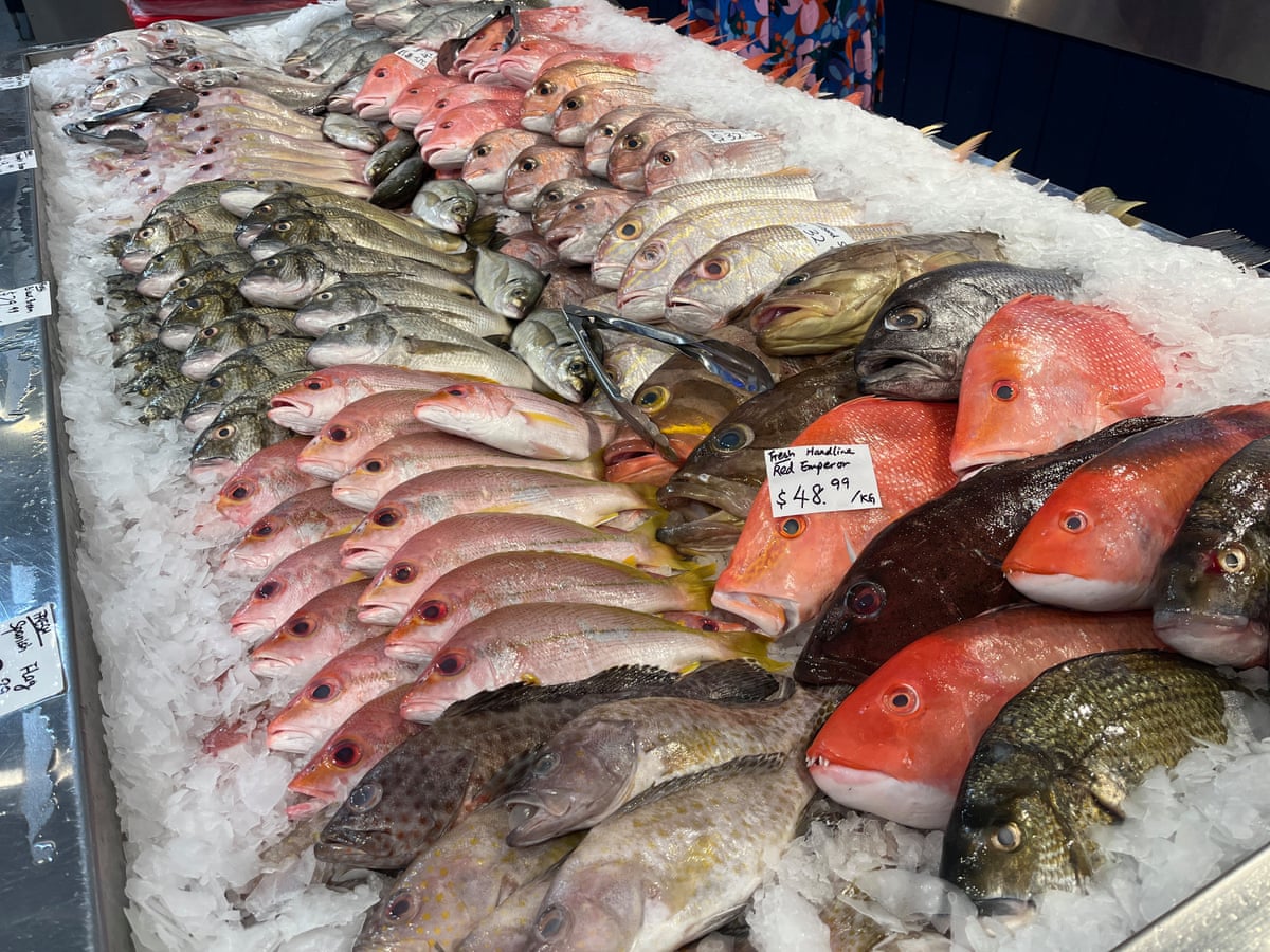 Catch limits of demersal fish have been slashed along most of Western Australia’s coastline.