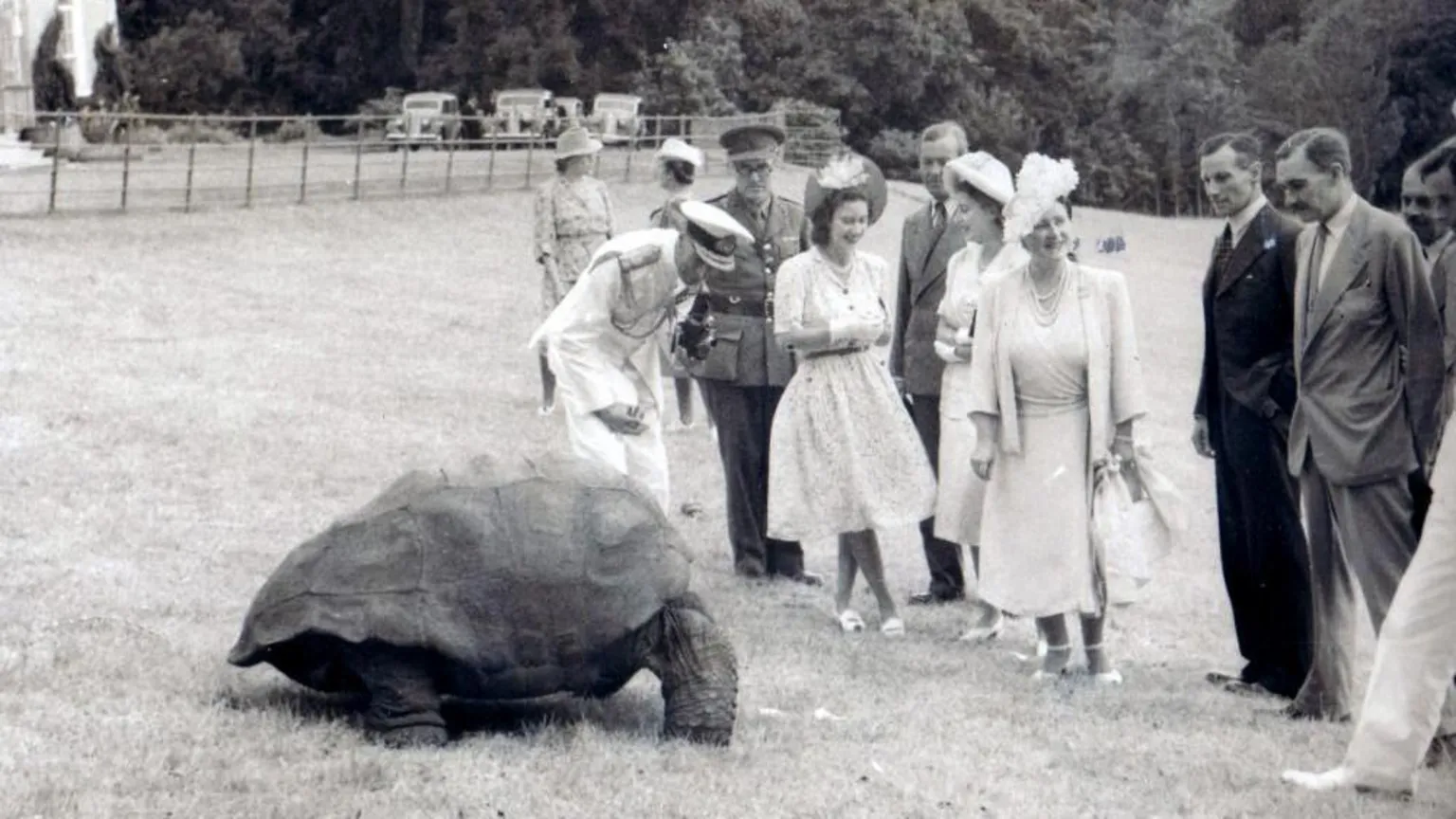  A black-and-white image of Jonathan surrounded by a group of people in formal attire, including Queen Elizabeth II