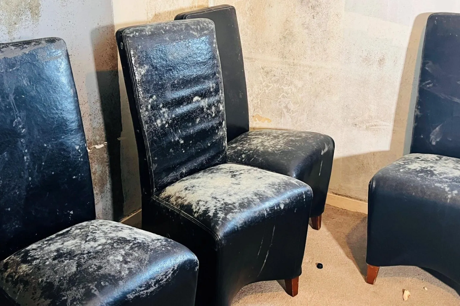 Mould on black seats inside a flat