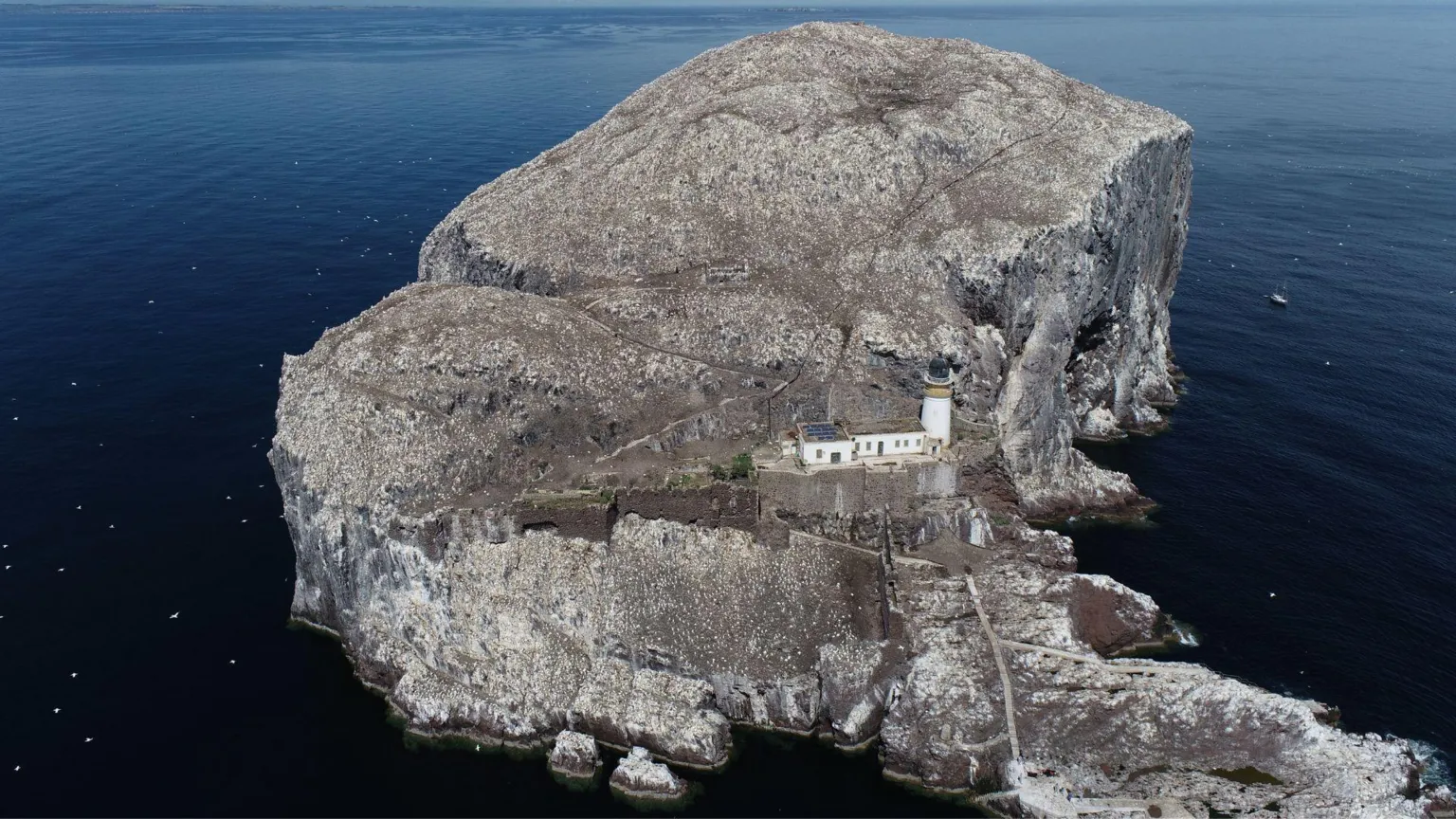 University of Edinburgh An aerial shot of the Bass Rock in the Firth of Forth.