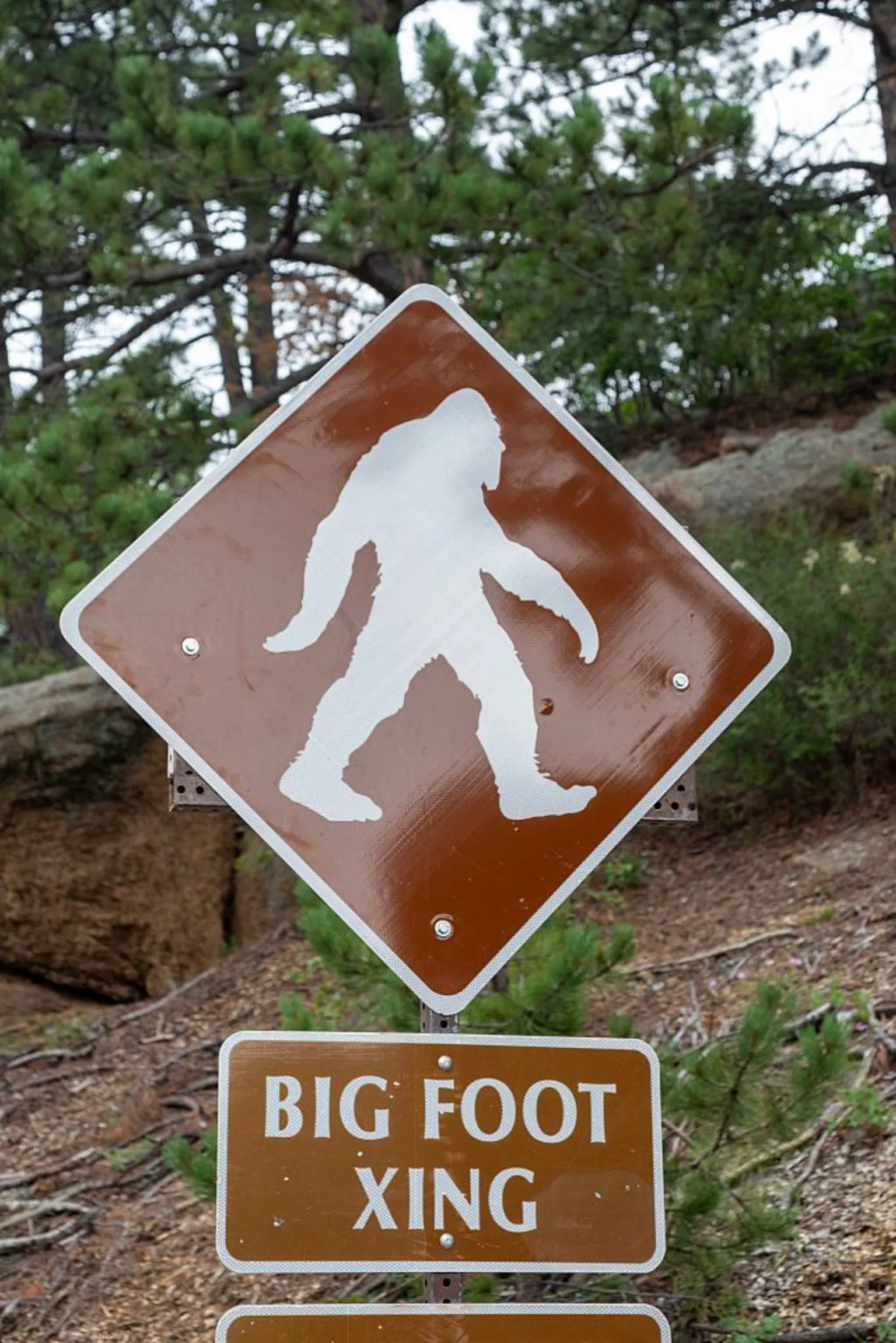  A brown sign is pictured on the highway leading to the summit of Pikes Peak in Colorado Springs, Colorado, which announces a Big Foot crossing. A white big foot figure is seen in the centre of the sign, with the label 