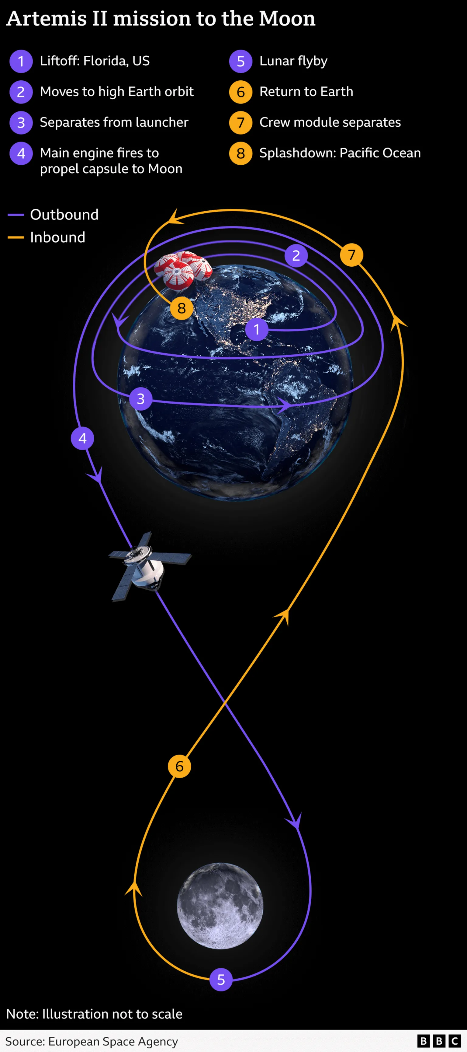  This tall graphic explains the Artemis II mission path from Earth to the Moon and back. At the top, white title text reads “Artemis II mission to the Moon”. Under it, two numbered lists describe the eight main steps, from liftoff in Florida, climbing to high Earth orbit and firing the main engine to the Moon, through lunar flyby, return, crew module separation and splashdown in the Pacific. The centre shows a glowing Earth with multiple purple arcs around it for the early orbits, then a long looping path to the Moon and back. Outbound legs are drawn in purple, inbound in orange. Small numbered circles sit along the track to match each step. A small Orion‑type spacecraft appears on the outbound leg; a parachute‑suspended capsule appears back at Earth. At the bottom, a grey Moon sits in space, and a note says, “Illustration not to scale. Source: European Space Agency. BBC logo.” 