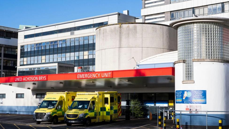 Ysbyty Athrofaol Cymru