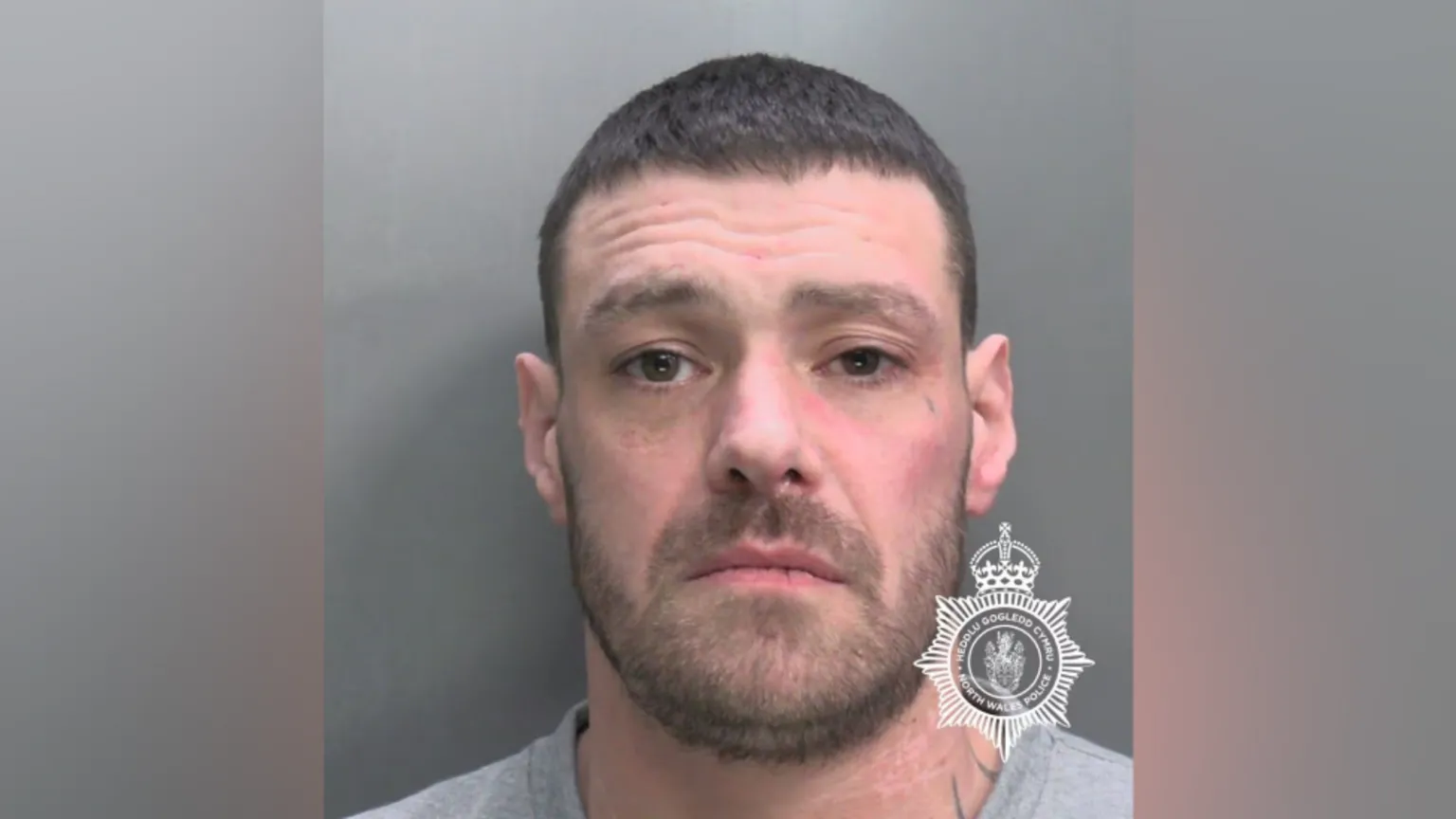 North Wales Police Custody shot of David Brock